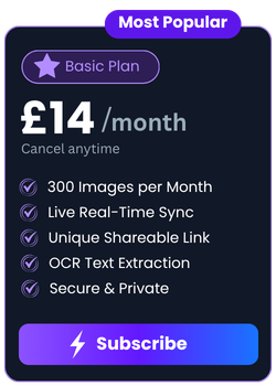 Basic Plan SnapDeskPro